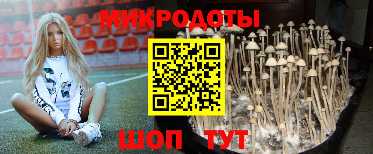 Нововоронеж  Псилоцибиновые грибы MAGIC MUSHROOMS  Вход с VPN 