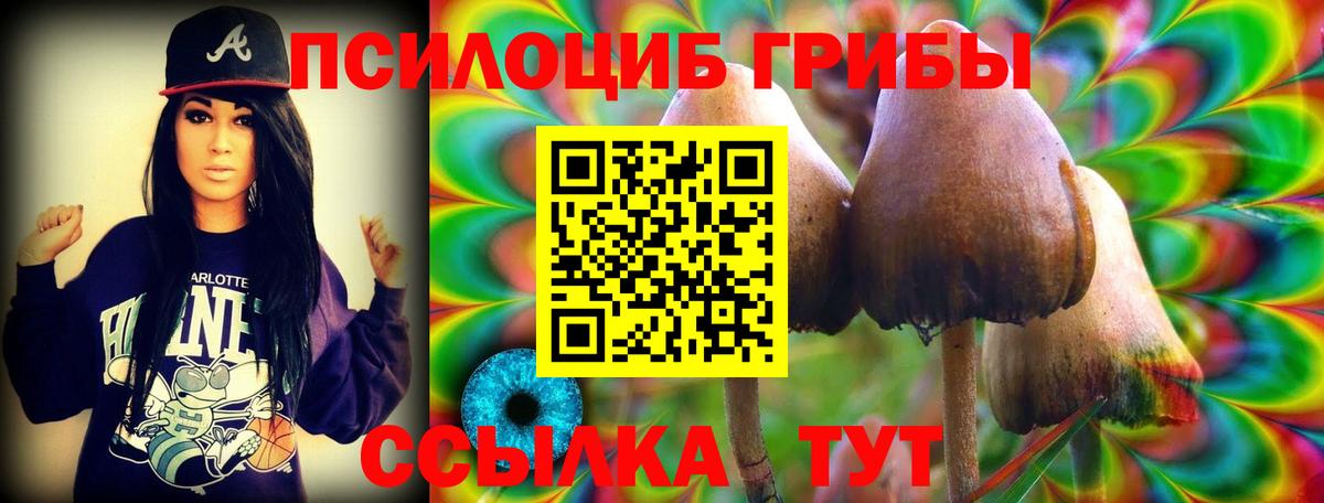 Псилоцибиновые грибы Magic Shrooms Нововоронеж